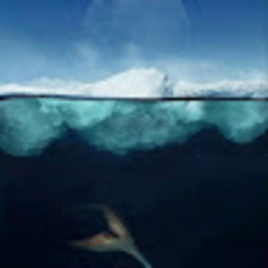 Meet your Posher, Zaida